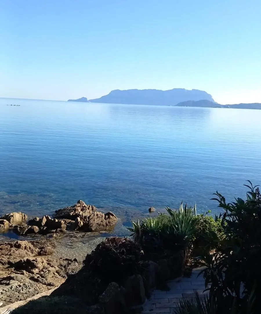 Apartment Appartamento Da Wanna Olbia Italy